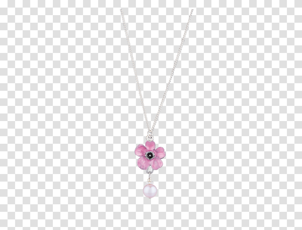 Necklace, Jewelry, Pendant, Accessories, Accessory Transparent Png