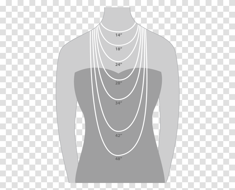 Necklace Lengths, Label, Torso, Plot Transparent Png