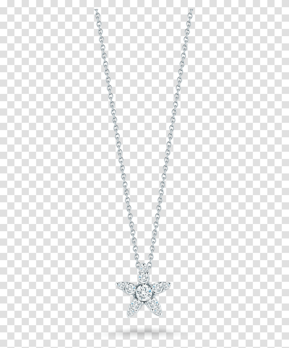 Necklace Locket, Jewelry, Accessories, Accessory, Chain Transparent Png