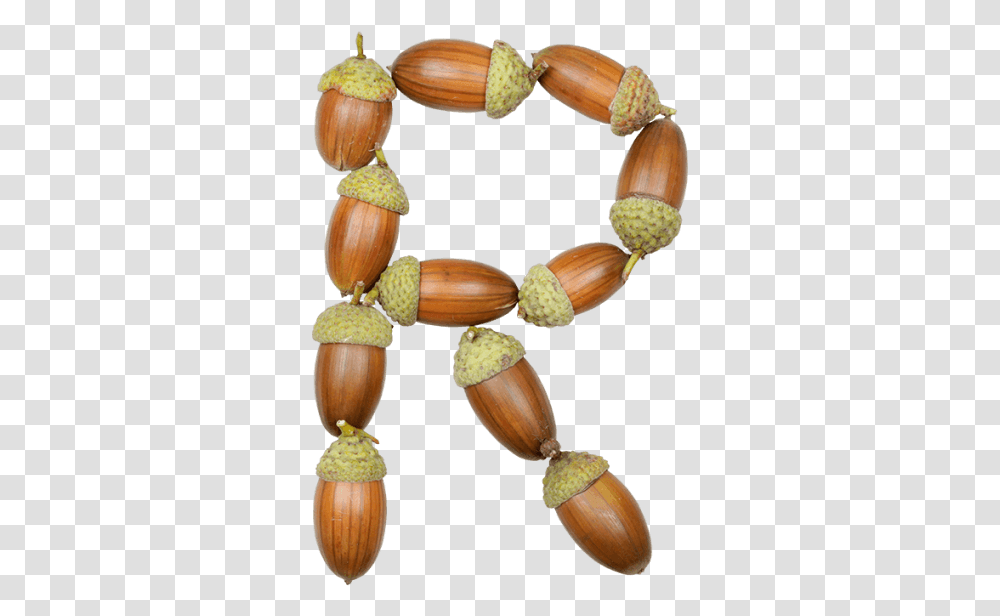 Necklace, Plant, Nut, Vegetable, Food Transparent Png