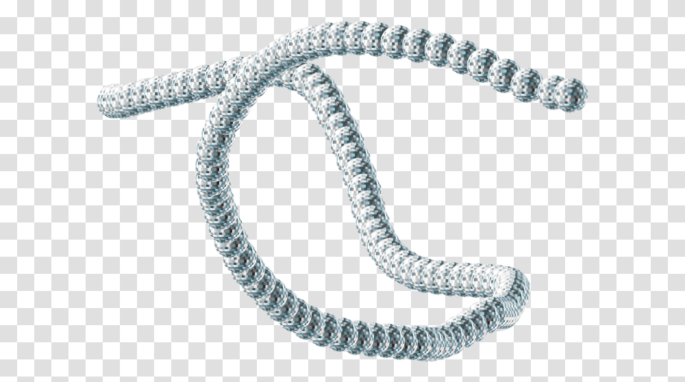Necklace, Whip, Person, Human, Knot Transparent Png