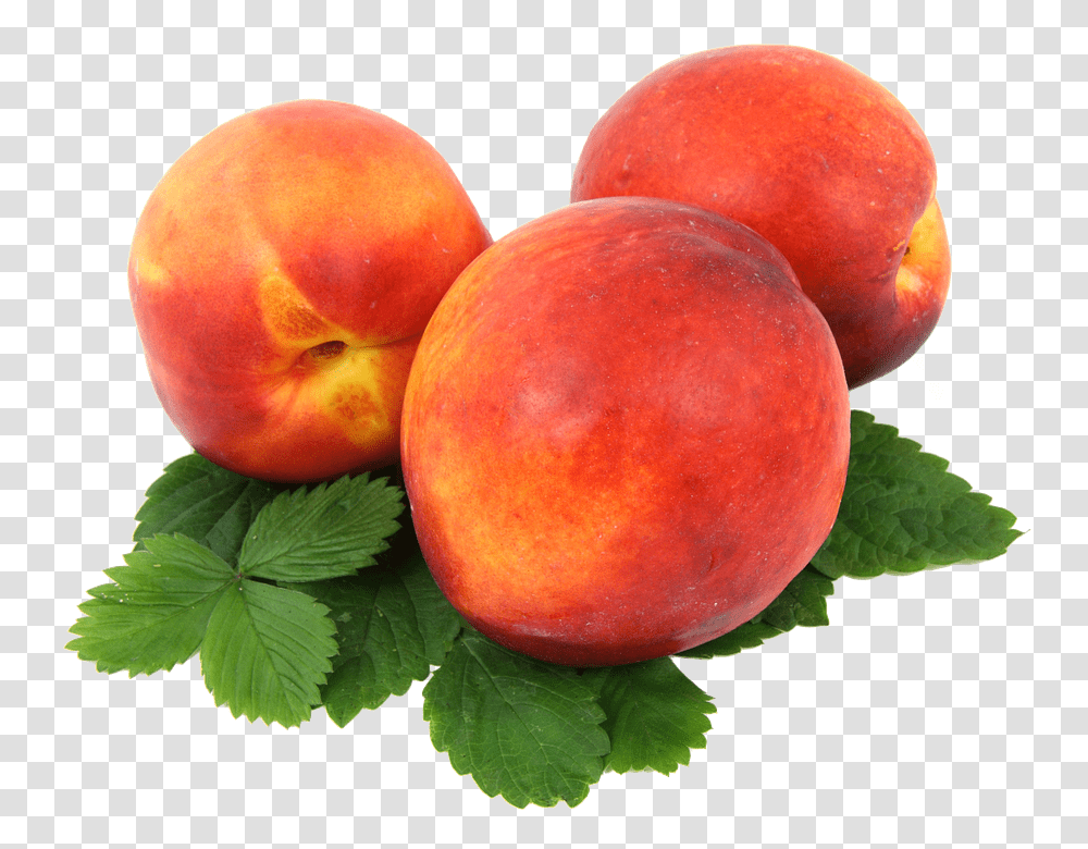 Nectarines 960, Fruit, Apple, Plant, Food Transparent Png