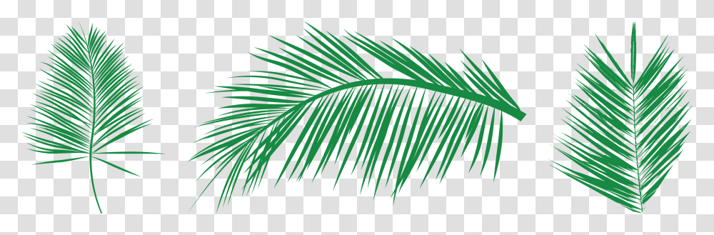 Needle And Thread Clipart Free Vectors Palm Leaf, Plant, Green, Tree, Veins Transparent Png