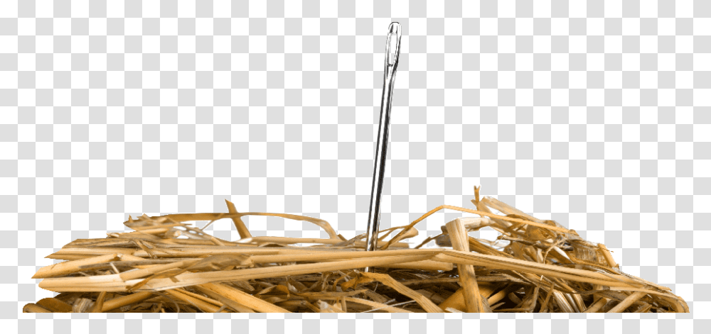 Needle In A Haystack What Tech Advances Are Shaping Drug Needle In Haystack, Nature, Outdoors, Countryside, Straw Transparent Png