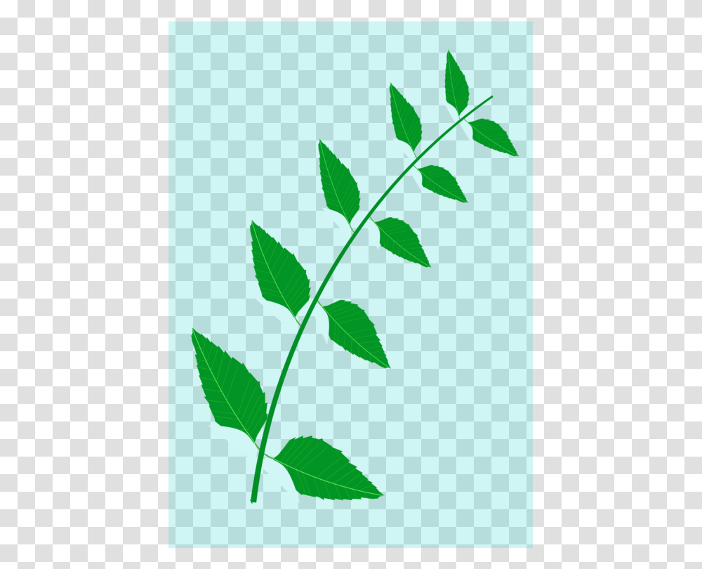 Neem Tree Leaf Drawing Medicinal Plants, Green, Vegetation, Vase, Jar Transparent Png