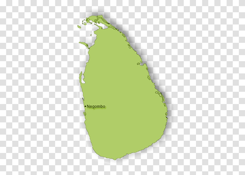 Negombo Map Map, Plant, Water, Outdoors, Amphibian Transparent Png