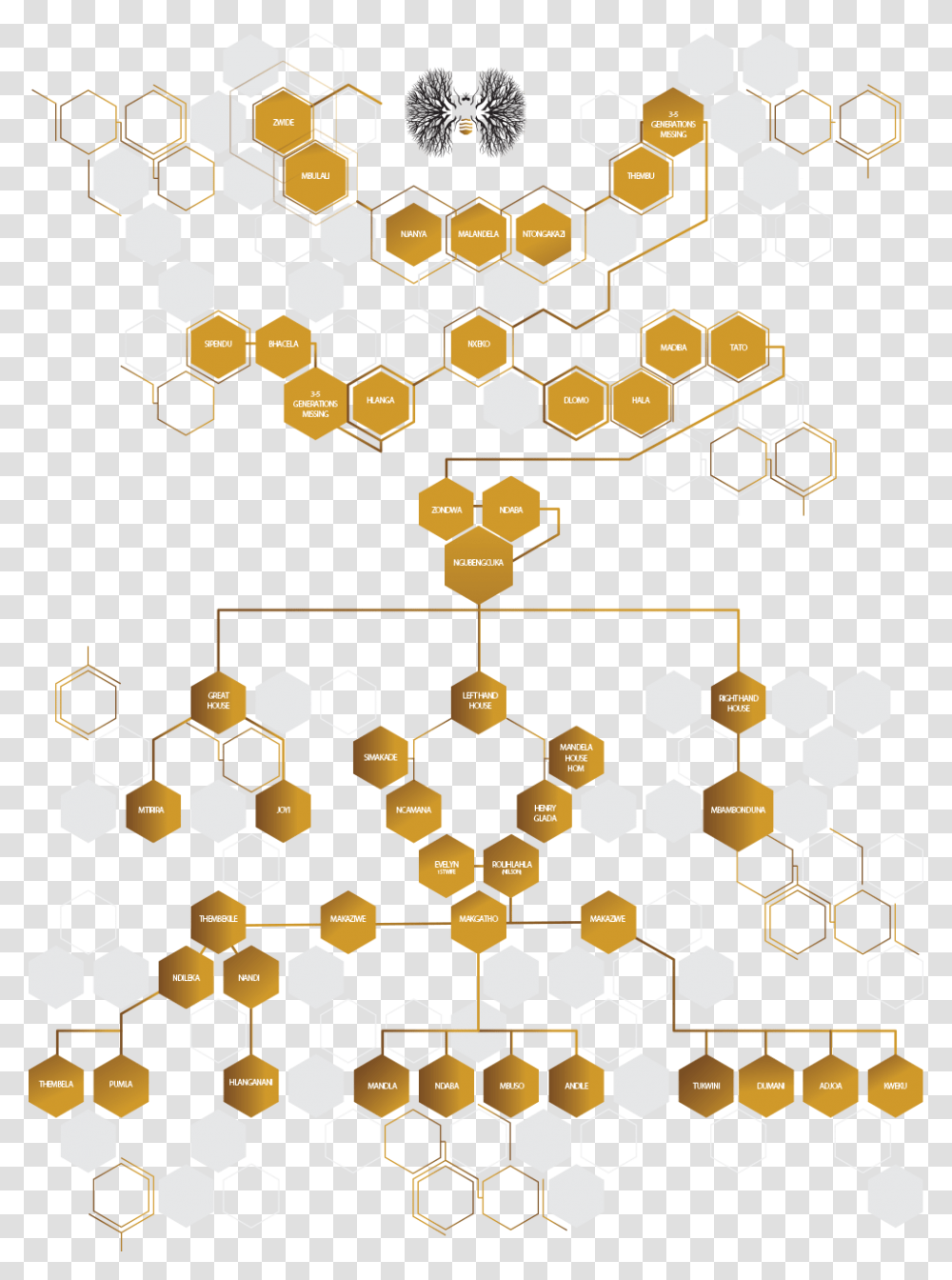 Nelson Mandela Family Tree Download Thembu Family Tree, Food, Honeycomb, Rug, Gold Transparent Png