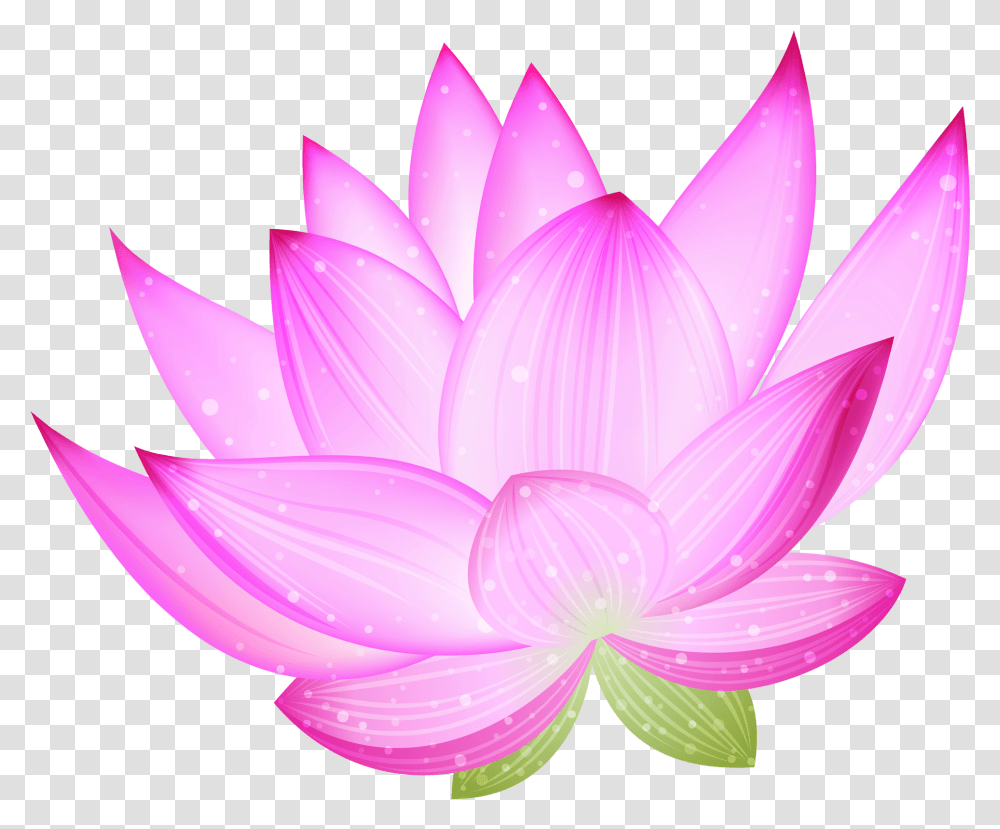 Nelumbo Nucifera Clip Art Lotus Clipart, Plant, Lily, Flower, Blossom Transparent Png