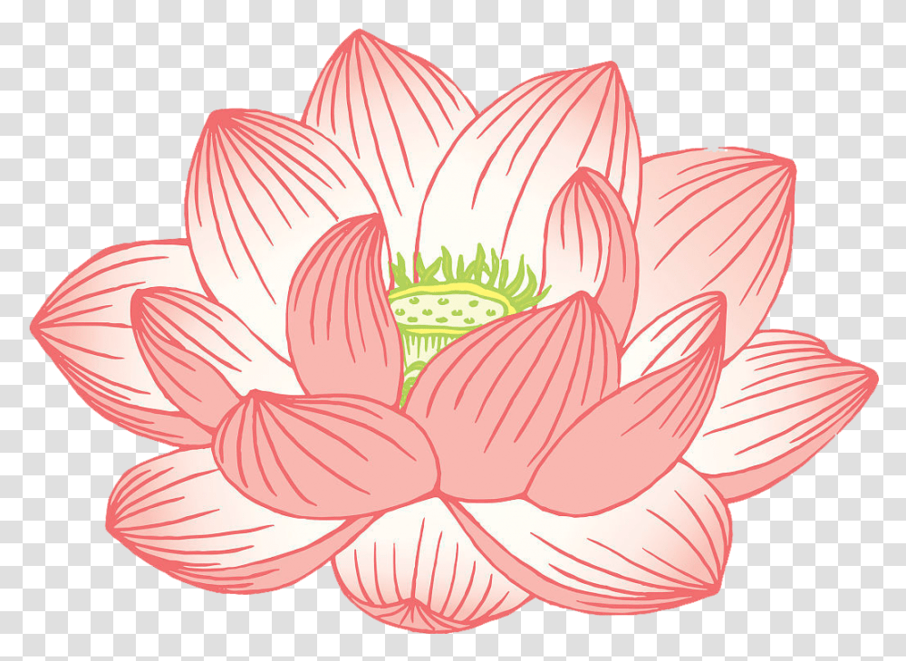 Nelumbo Nucifera Egyptian Illustration Lotus Illustration, Plant, Flower, Blossom, Dahlia Transparent Png