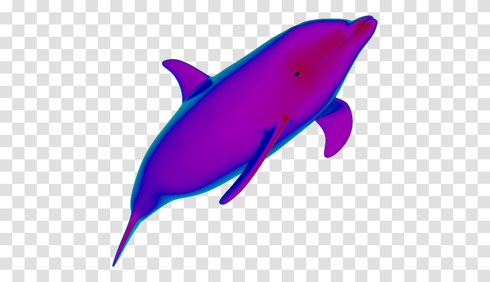 Neon Dolphins Are Cute Background Dolphins Animated Gif, Sea Life, Animal, Mammal Transparent Png