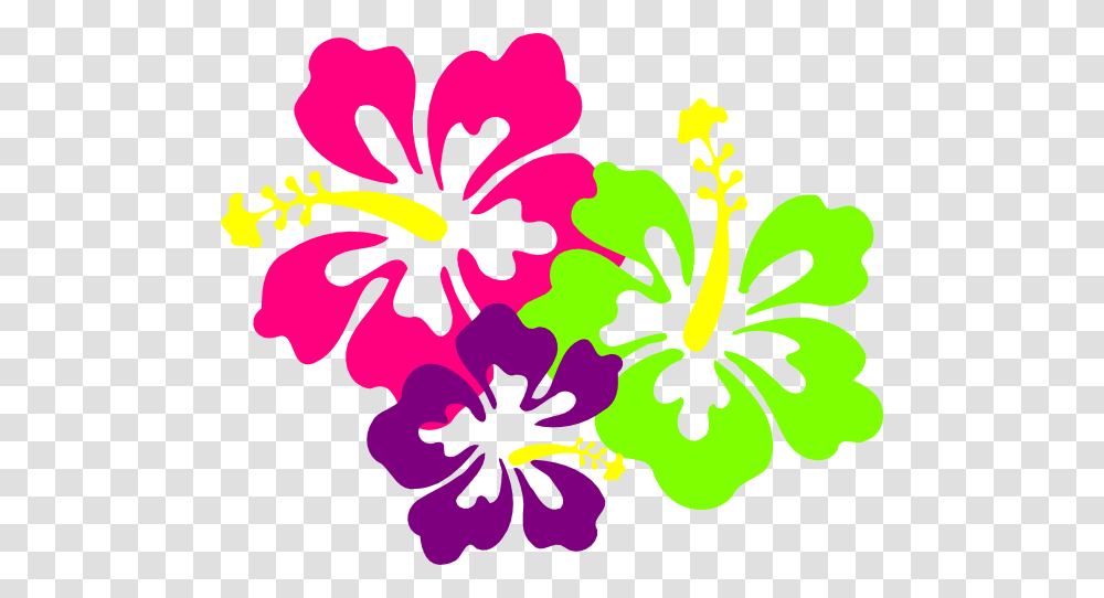 Neon Flower Neon Flower Images, Hibiscus, Plant, Blossom, Anther Transparent Png