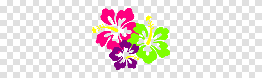 Neon Hibiscus Clip Art Emma Birthday Hibiscus, Flower, Plant, Blossom, Poster Transparent Png