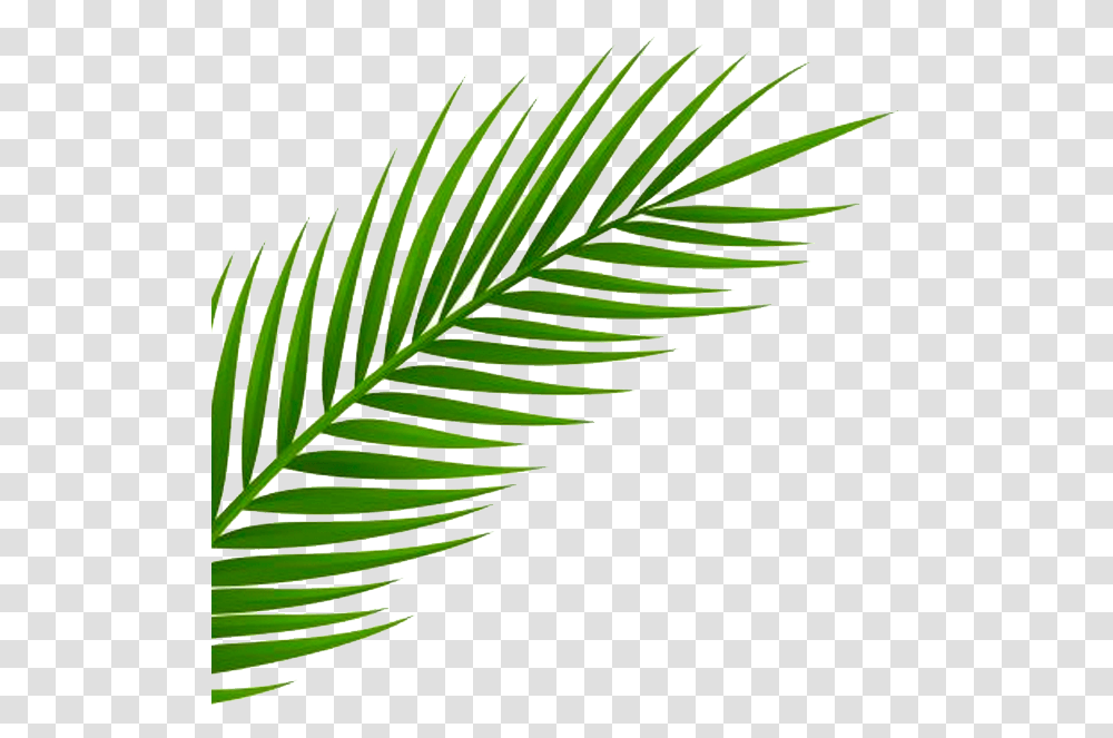 Neon Palm Tree Inspired By A Recent Trip To Miami By Background Leaf, Plant, Fern, Conifer, Astragalus Transparent Png