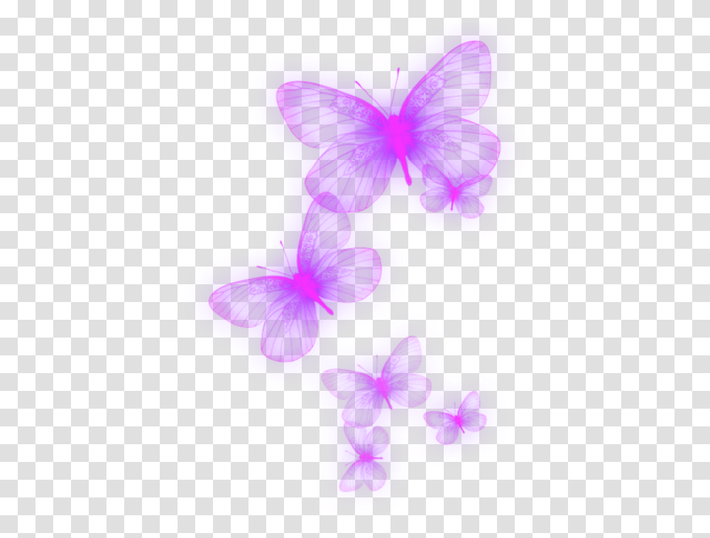 Neon Purple Lila Butterfly Schmetterling Butterfly Neon, Plant, Heart, Flower, Blossom Transparent Png