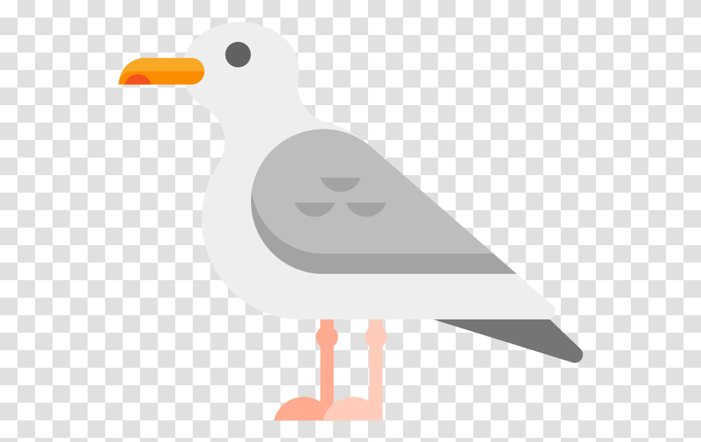 Nereid Seabird, Lamp, Animal, Beak, Pigeon Transparent Png