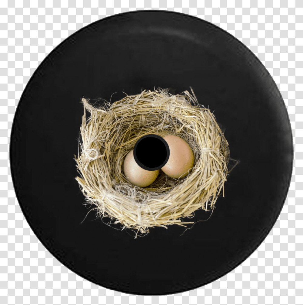 Nest Background, Bird Nest Transparent Png