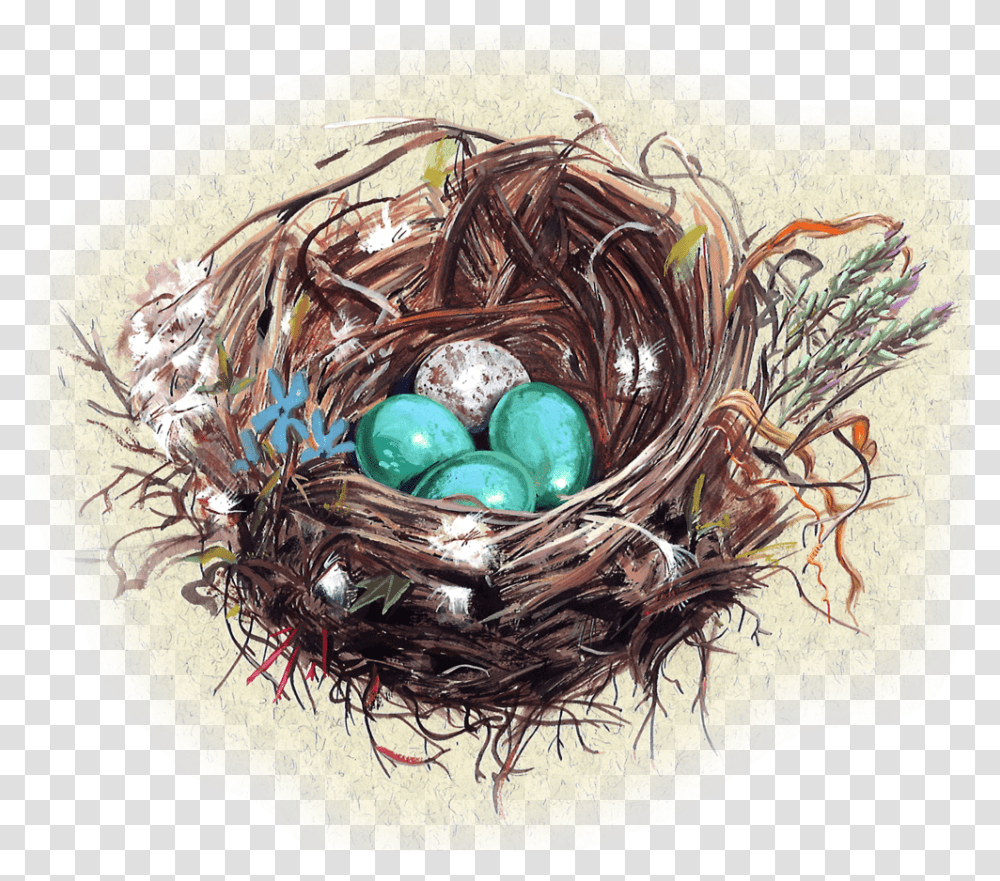 Nest, Bird Nest, Painting, Egg Transparent Png