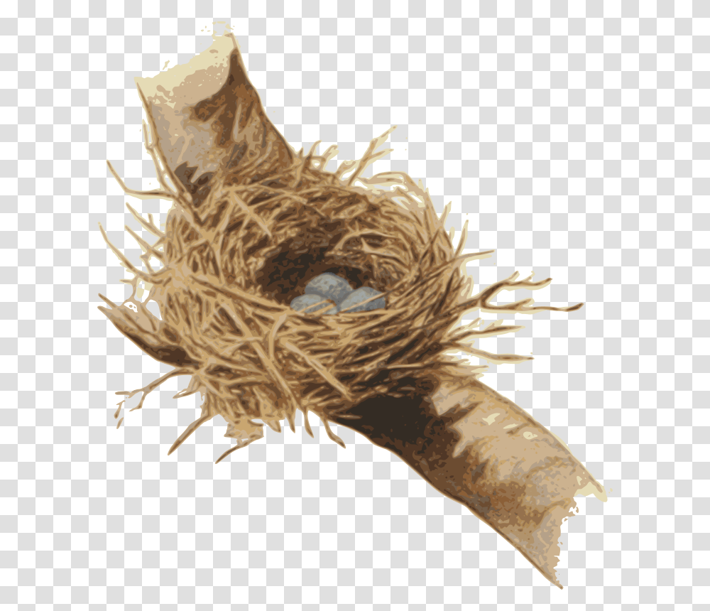 Nest Bird Plant Clipart Portable Network Graphics, Animal, Root, Chicken, Vegetable Transparent Png