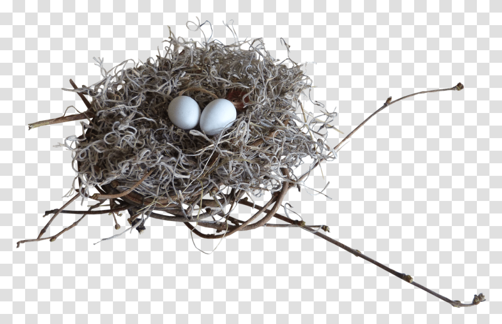 Nest Birds Nature Twig, Bird Nest, Egg, Food, Spider Transparent Png