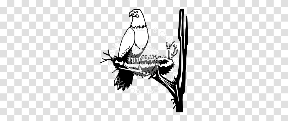 Nest Clipart Eagle Nest, Bird, Animal, Stencil, Hook Transparent Png