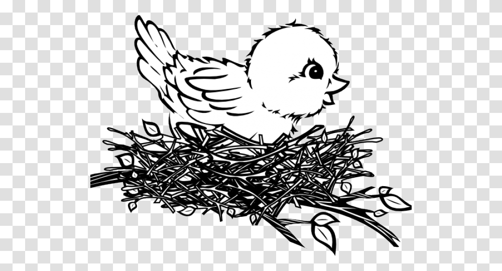 Nest Clipart Sparrow Nest Birds Nest Clipart Black And White, Poultry, Fowl, Animal, Hen Transparent Png