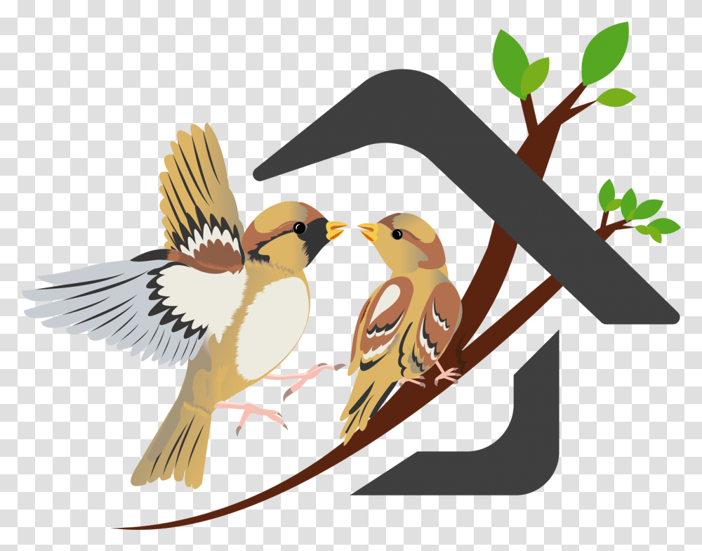 Nest Clipart Sparrow Save Sparrow, Bird, Animal, Finch, Penguin Transparent Png
