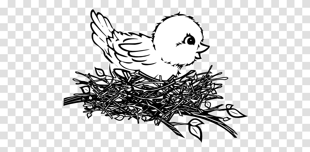 Nest Cliparts, Animal, Bird, Bird Nest, Poultry Transparent Png