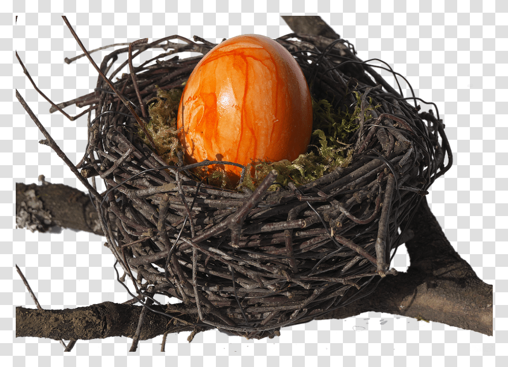 Nest Easter Free Photo On Pixabay, Bird Nest, Food, Fungus, Egg Transparent Png