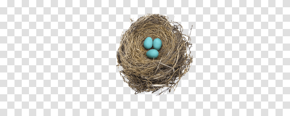 Nest, Nature, Bird Nest, Food, Egg Transparent Png