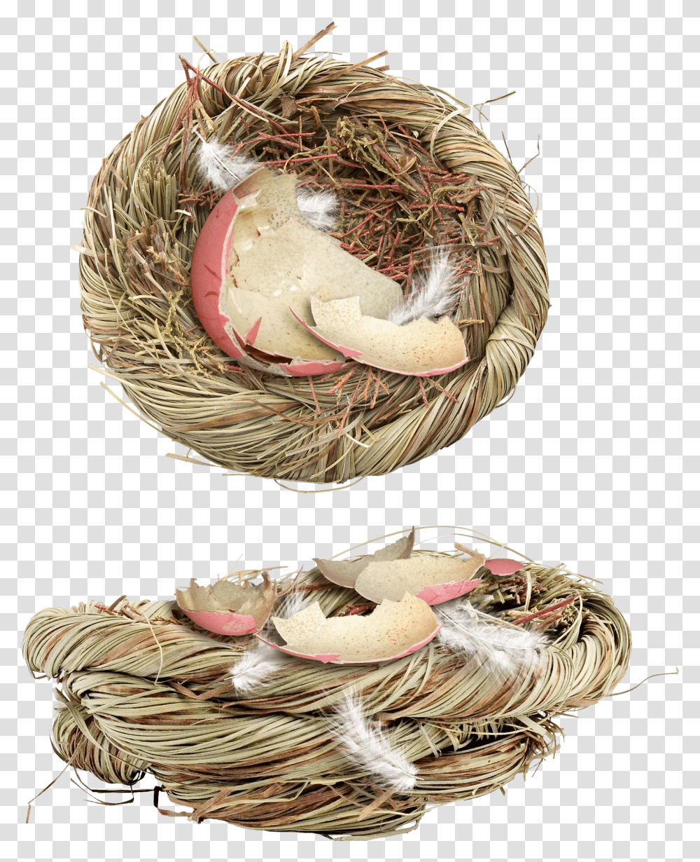 Nest, Nature, Bird Nest, Painting Transparent Png