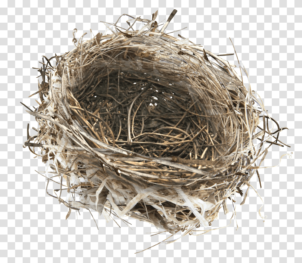 Nest, Nature, Bird Nest Transparent Png