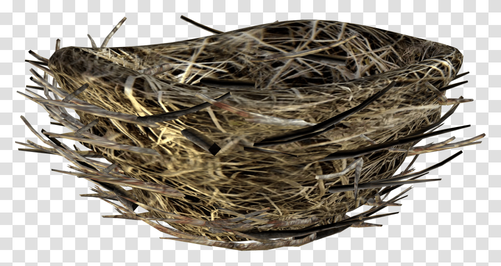 Nest, Nature, Bird Nest Transparent Png