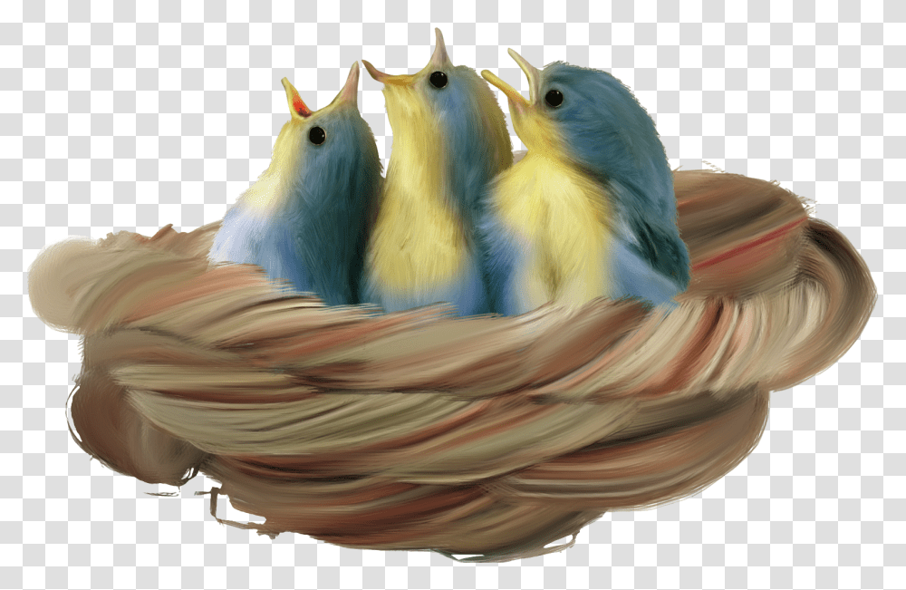Nest, Nature, Chicken, Poultry, Fowl Transparent Png