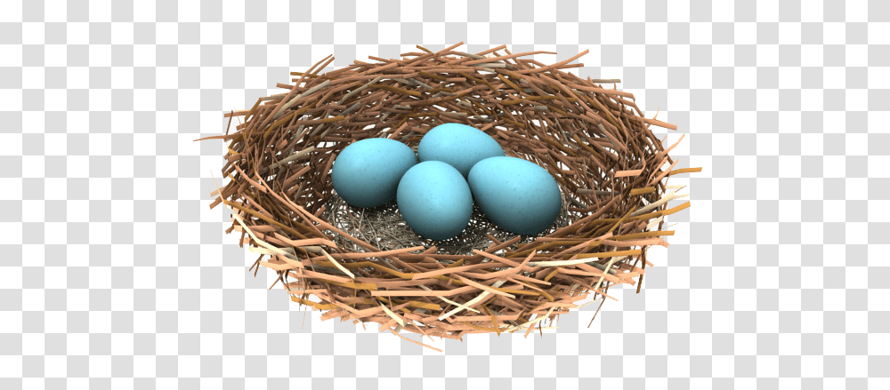 Nest, Nature, Egg, Food, Bird Nest Transparent Png