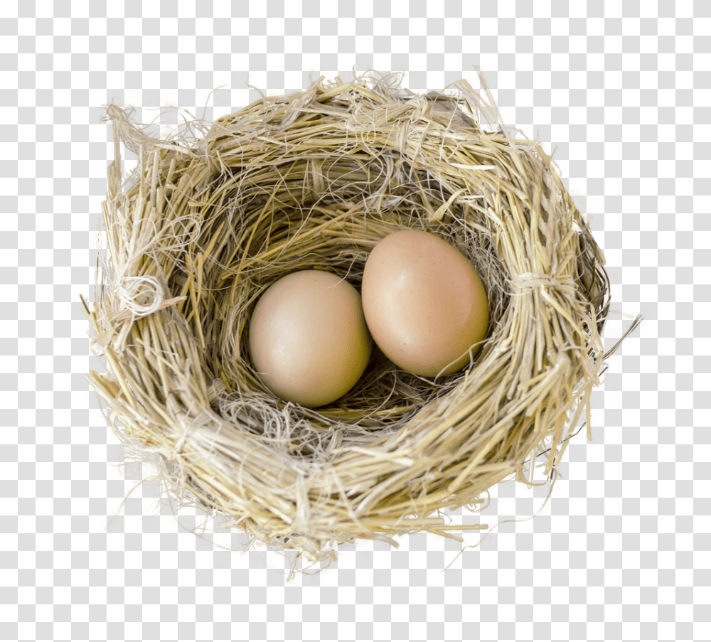 Nest, Nature, Egg, Food, Bird Nest Transparent Png