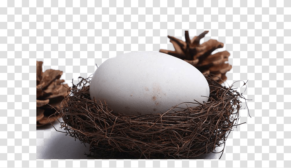 Nest, Nature, Egg, Food, Fungus Transparent Png