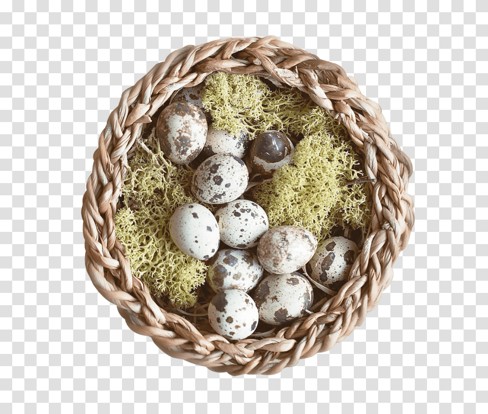 Nest, Nature, Food, Egg, Plant Transparent Png