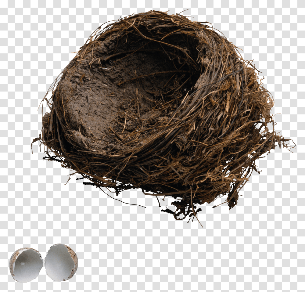 Nest, Nature Transparent Png