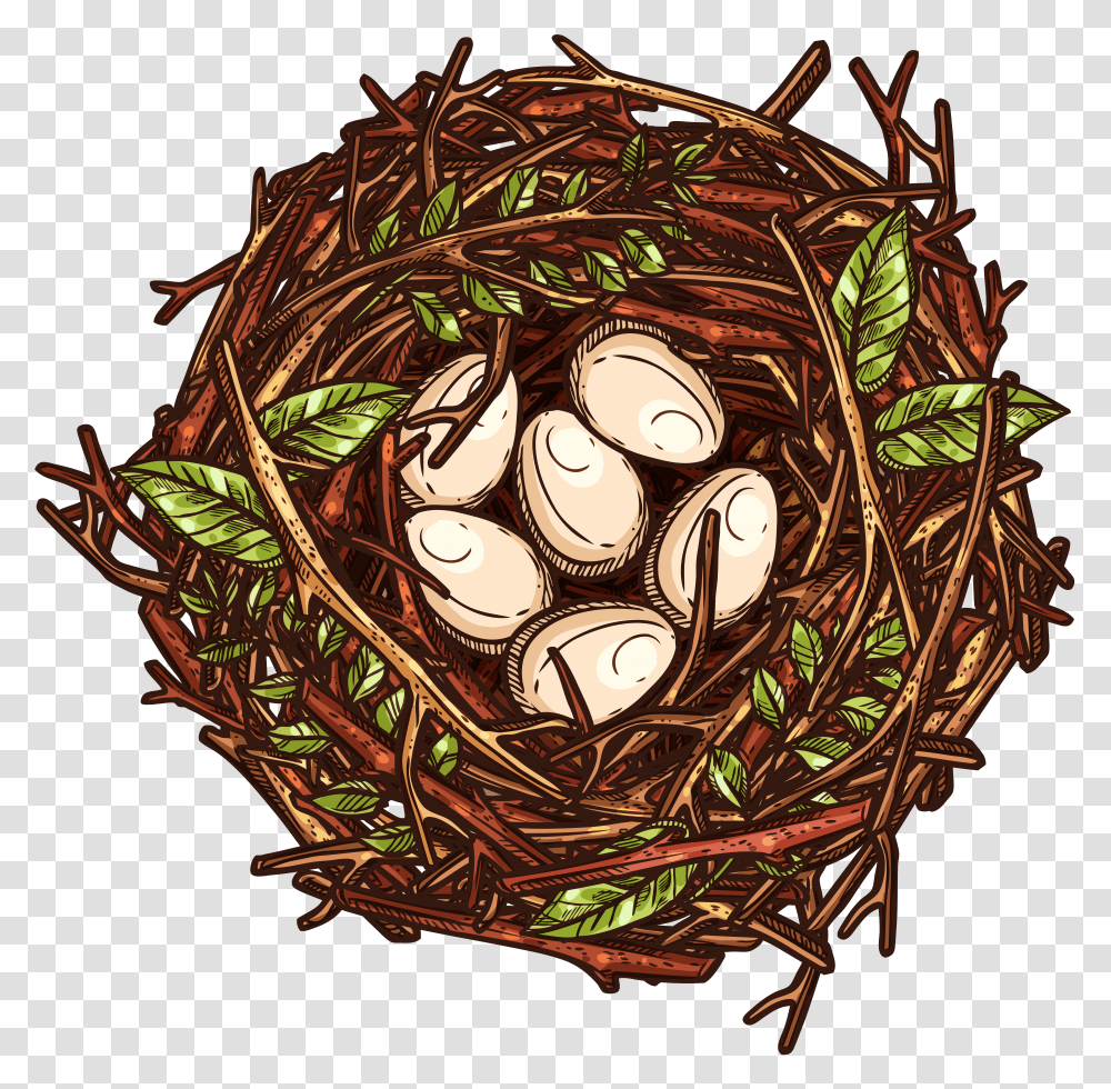 Nest, Nature Transparent Png