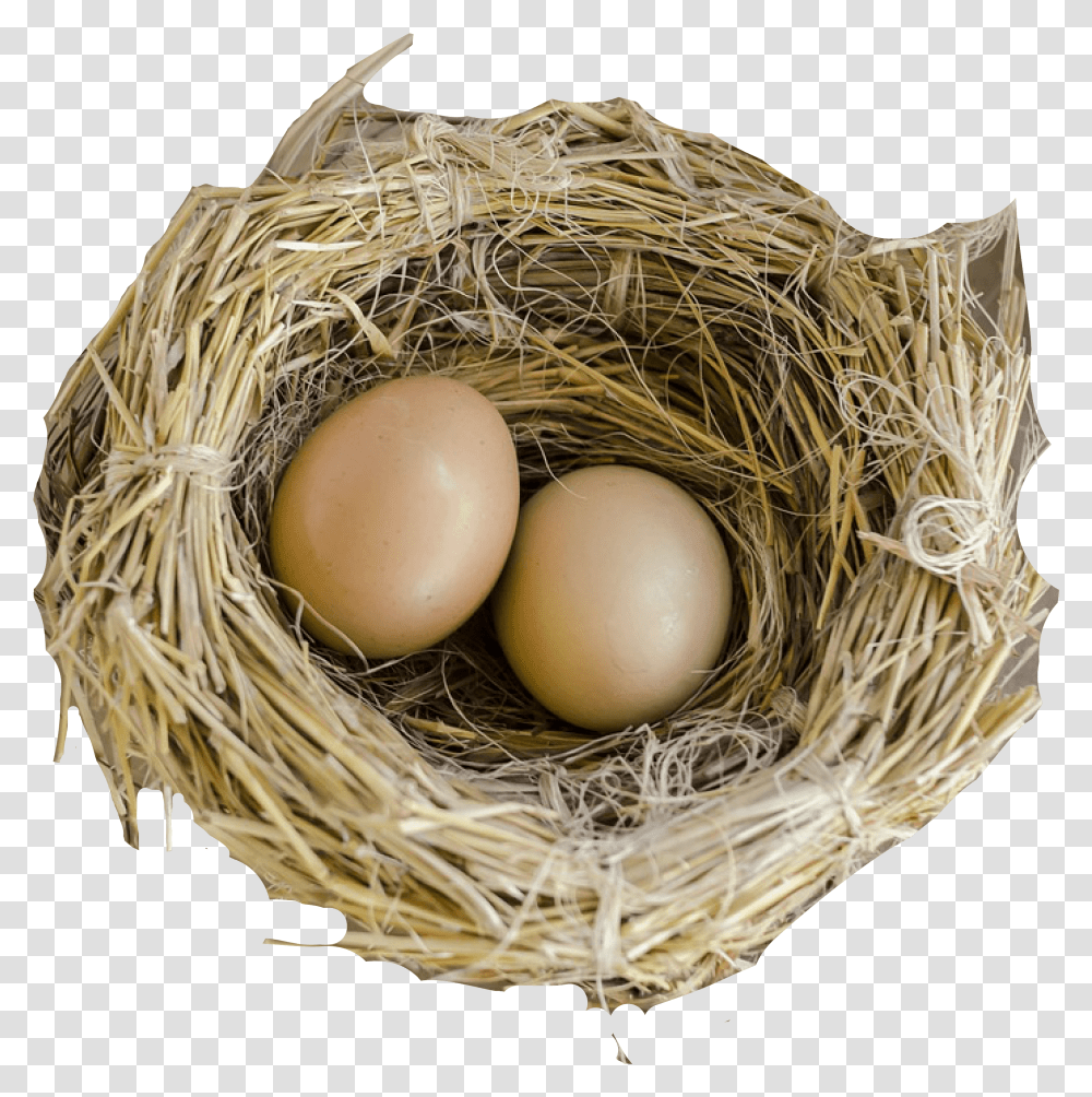 Nest Nest, Egg, Food, Bird Nest Transparent Png