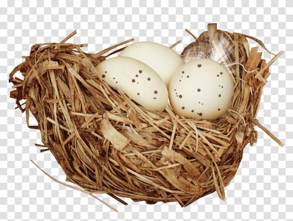 Nest Nido De Pajaros, Egg, Food, Bird Nest Transparent Png