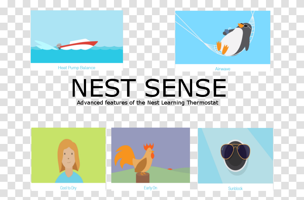 Nest Sense Storm Chaser, Label, Bird, Animal Transparent Png