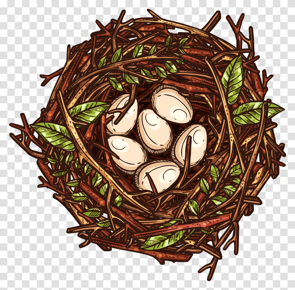 Nest Transparent Png