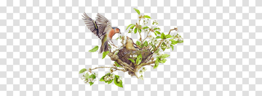 Nest W Colored Pens Paint Brush Tree With Bird Nest, Animal, Plant, Jay, Bluebird Transparent Png