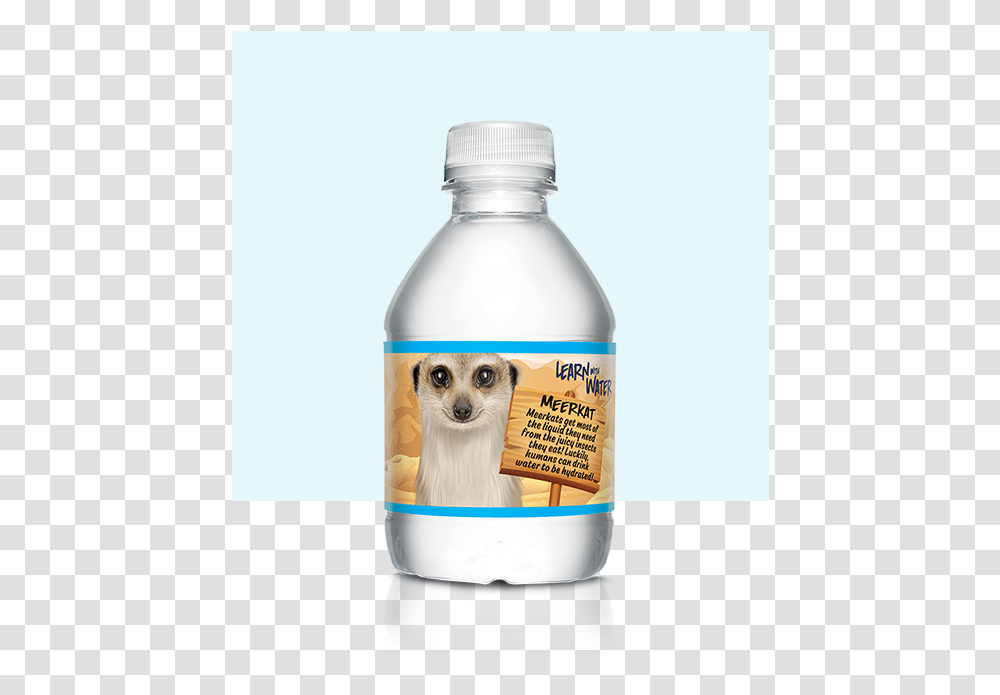 Nestl Pure Life, Label, Bottle, Beverage Transparent Png