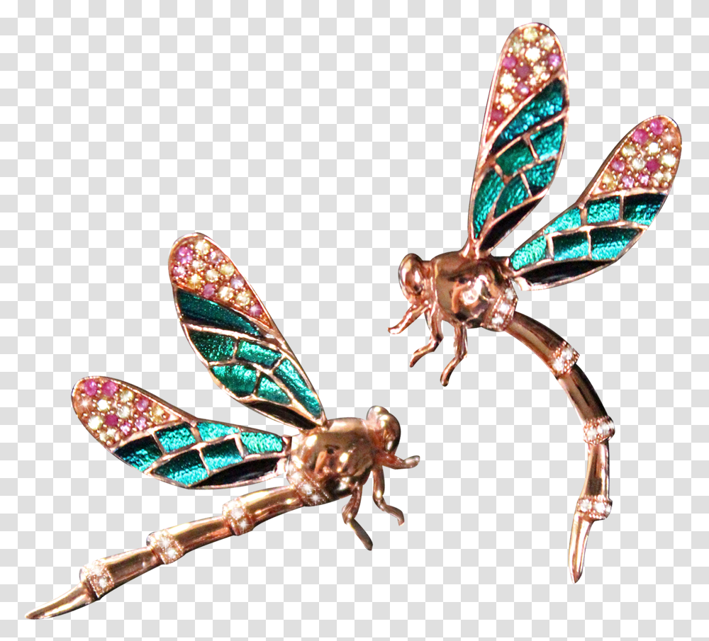 Net Insects, Dragonfly, Invertebrate, Animal, Anisoptera Transparent Png