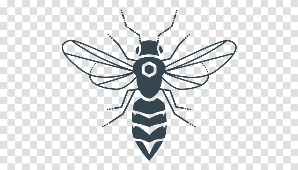 Net Winged Insects, Invertebrate, Animal, Ant, Spider Transparent Png