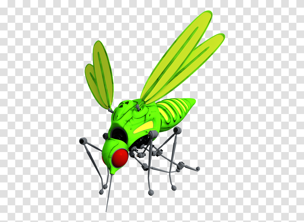 Net Winged Insects, Invertebrate, Animal, Grasshopper, Grasshoper Transparent Png