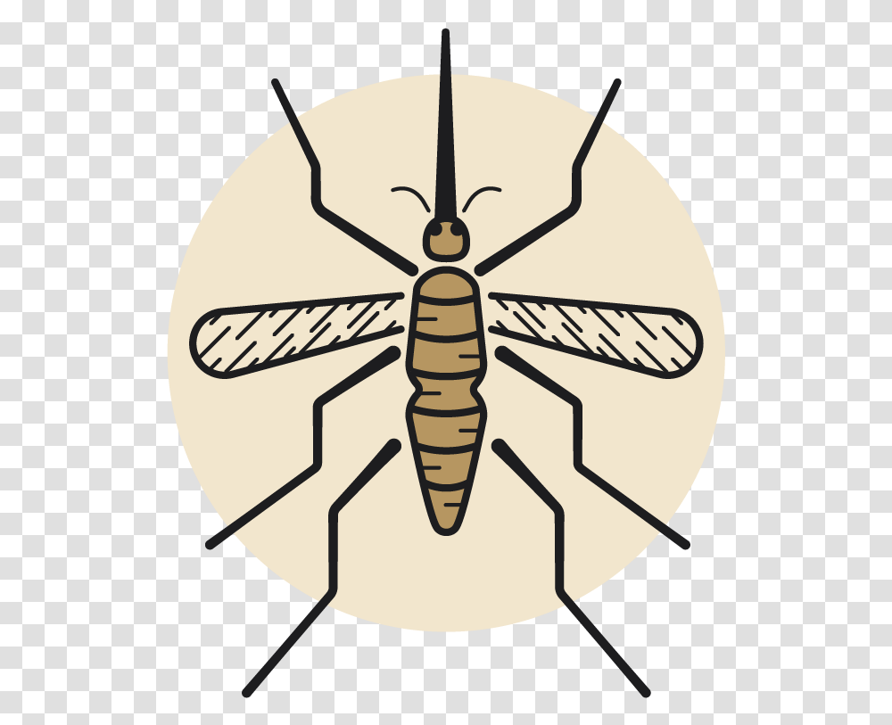 Net Winged Insects, Invertebrate, Animal, Emblem Transparent Png