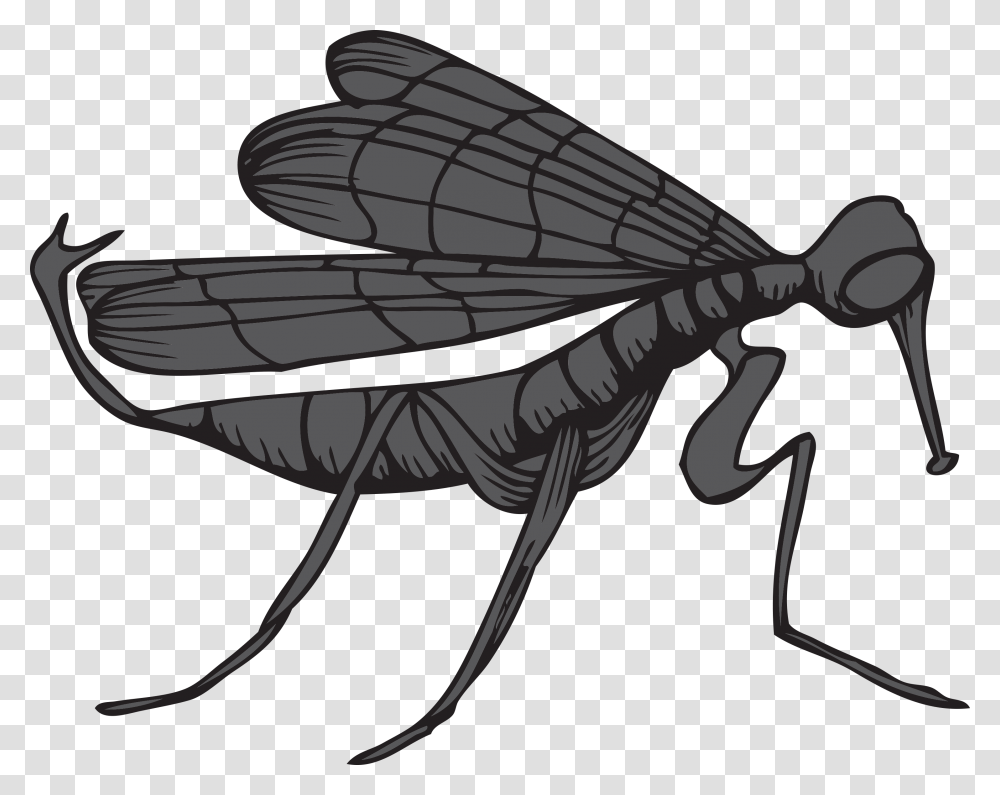 Net Winged Insects, Invertebrate, Animal, Wasp, Bee Transparent Png